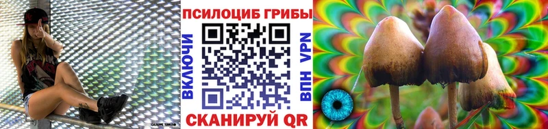 купить наркоту Слюдянка Псилоцибиновые грибы Magic Shrooms