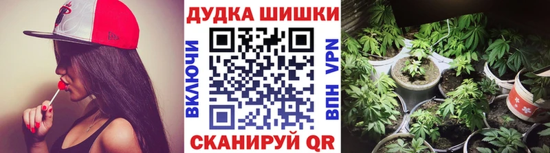 купить  цена  Слюдянка  Бошки марихуана план 