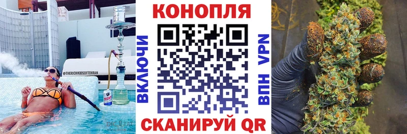 Конопля OG Kush Слюдянка